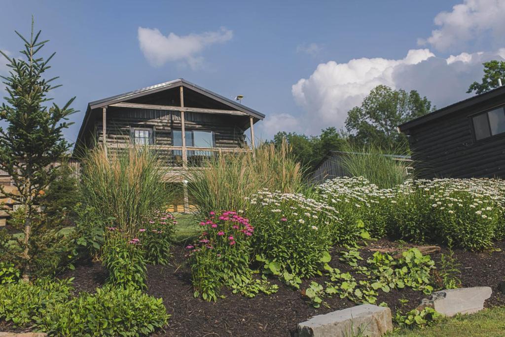 Micro - Camp Bluestone Holiday park *